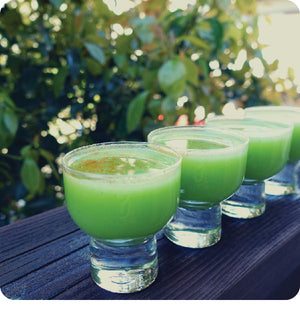 Hydrating Celery Wellness Shot