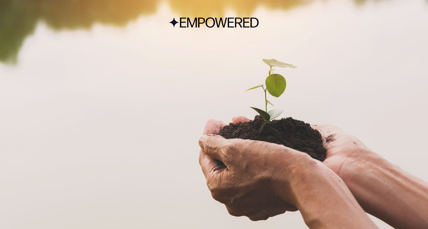 The story behind Re-Sparkle It