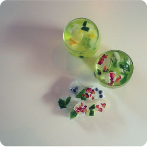 Ice Cube Infusions