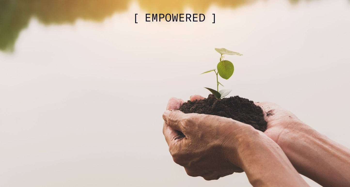 The Story Behind Re-Sparkle It