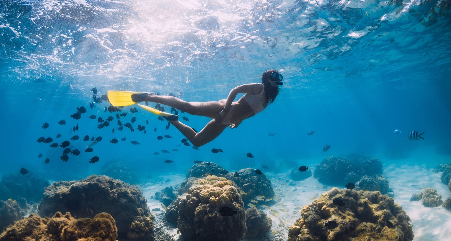 Marine vs. Bovine Collagen: Which is better?