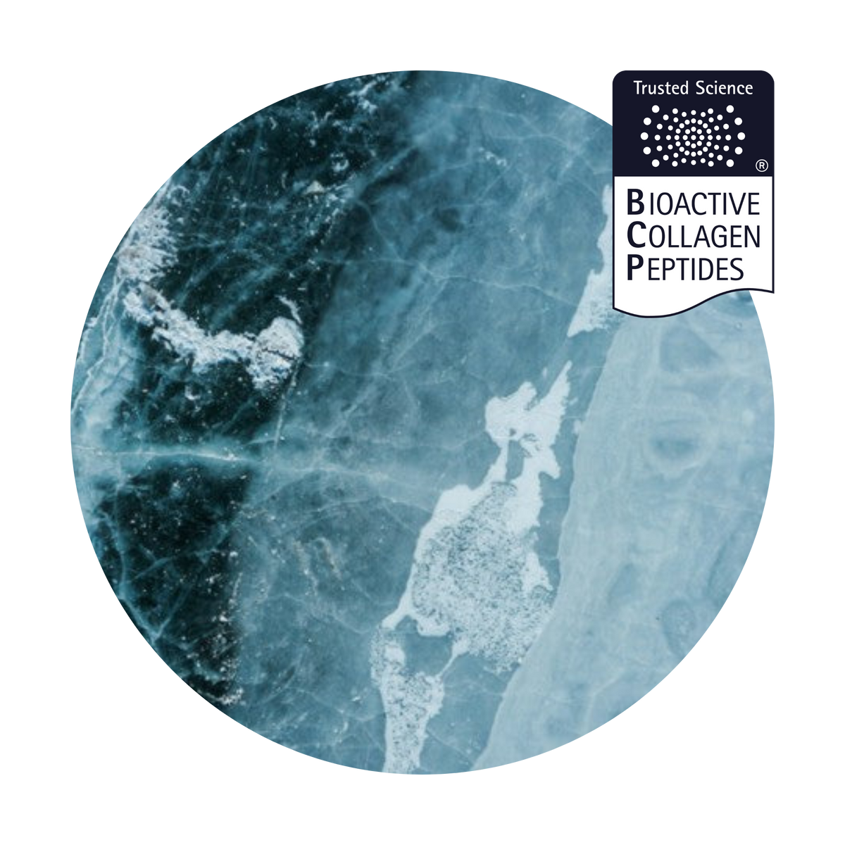 VERISOL® Bioactive Collagen Peptides | Sparkle Wellness